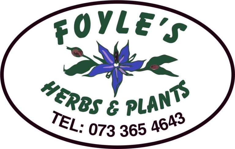 Foyle nursury 768x489